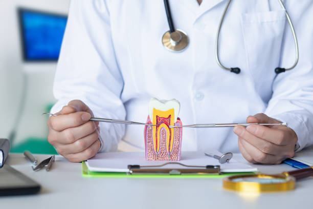 Best Emergency Root Canal Treatment in Holualoa, HI